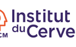 Institut du Cerveau